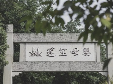 蓮笙彌月 | 等風(fēng)，等你，一切安好！